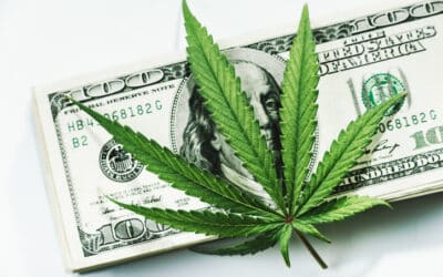 Thinking of starting a cannabis business in Maine?  New laws will keep you on your toes. Part II- “Adult Use” Market